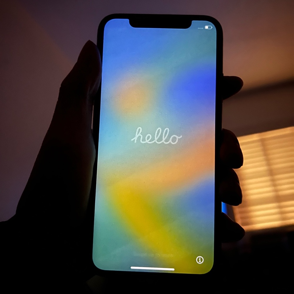 iPhone X